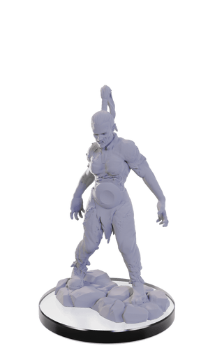 WizKids (Neca) Miniatures > WizKids Pathfinder Deep Cuts: Unpainted Miniatures - W22 Plague Zombie & Skeletal Champion 634482904459 WZK 90445