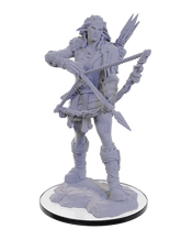 WizKids (Neca) Miniatures > WizKids Pathfinder Deep Cuts: Unpainted Miniatures - W22 Wood Giant 634482906880 WZK 90688