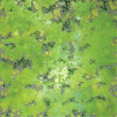 WizKids (Neca) Miniatures > WizKids WizKids: WarLock Tiles - Game Mat, Acid Lagoon 634482165447 WZK 16544