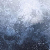 Wolves in the Throne Room Music > Vinyl Records Wolves In The Throne Room - Celestite 655035501314 ARSI13.1