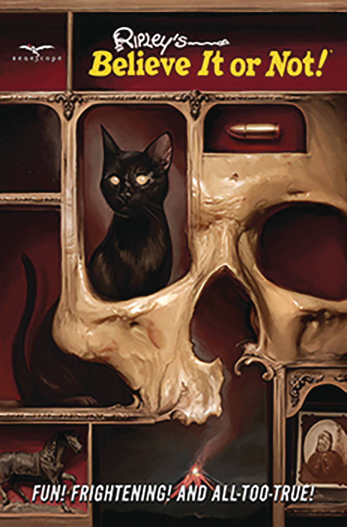 ZENESCOPE ENTERTAINMENT INC Graphic Novel RIPLEYS BELIEVE IT OR NOT TP 9781942275862 NOV182111