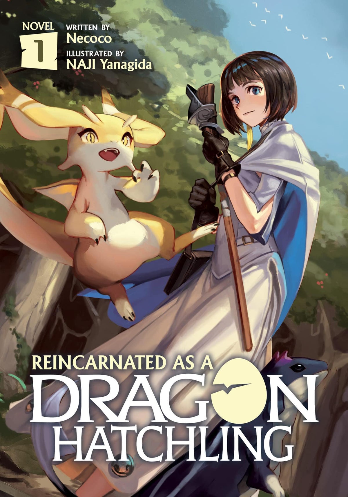 SEVEN SEAS ENT - AIRSHIP Manga Reincarnated As A Dragon Hatchling Light Novel SC Vol 01 9781648275814 MAY212017