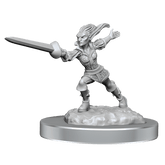 Dungeons & Dragons Nolzur`s Marvelous Unpainted Miniatures: W19 Quicklings - Third Eye