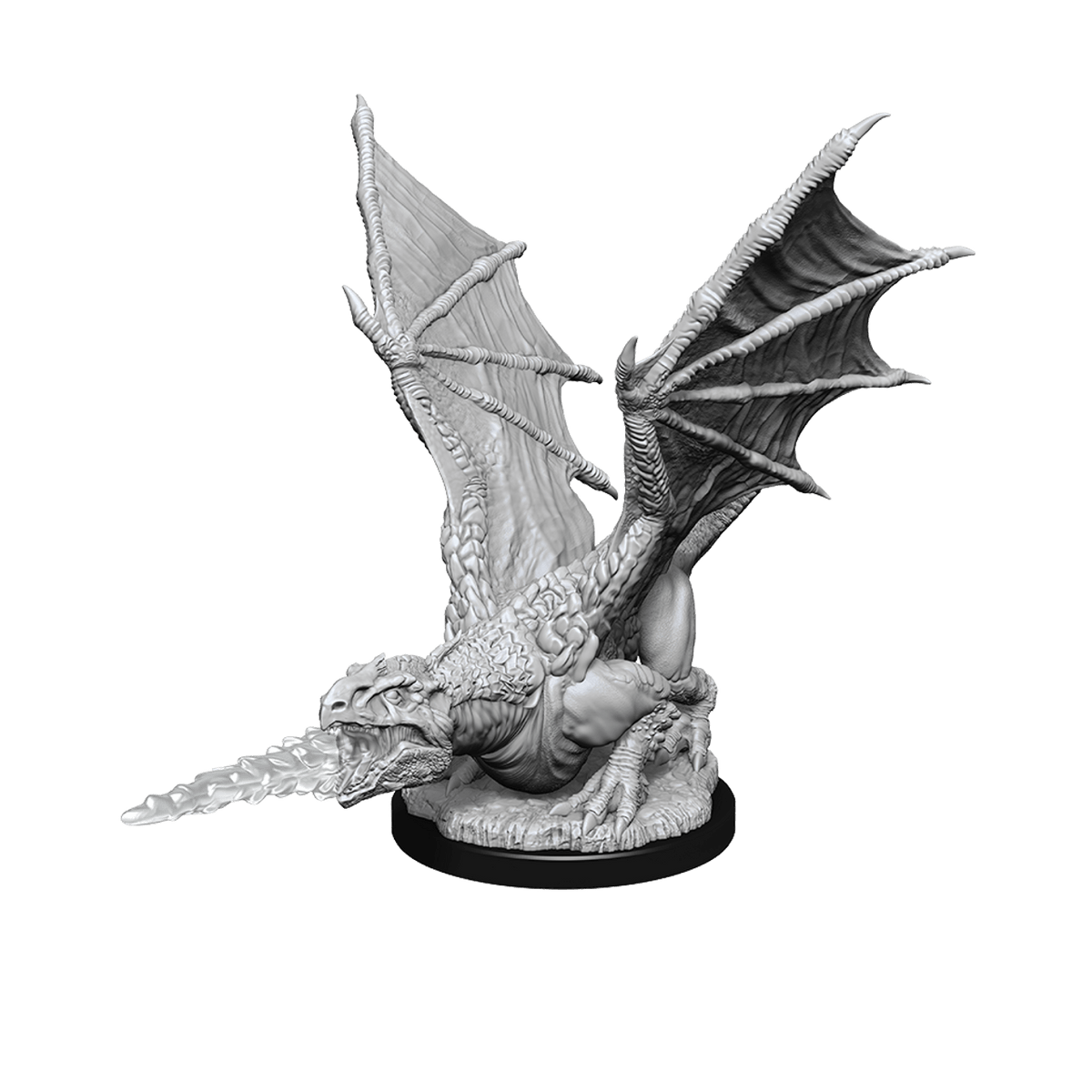 Dungeons & Dragons Nolzur`s Marvelous Unpainted Miniatures: W19 White Dragon Wyrmling - Third Eye