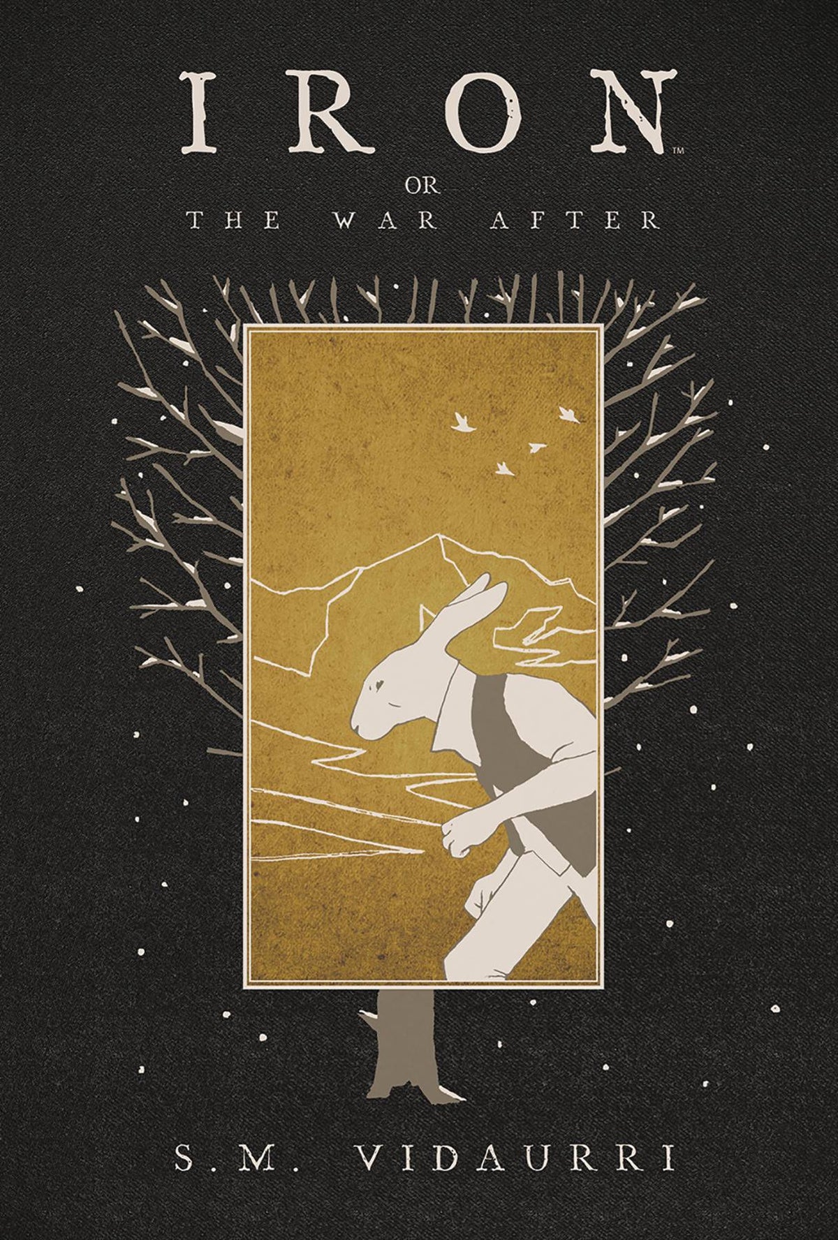 BOOM! STUDIOS Graphic Novel Iron Or The War After GN 9781684152988 SEP181316