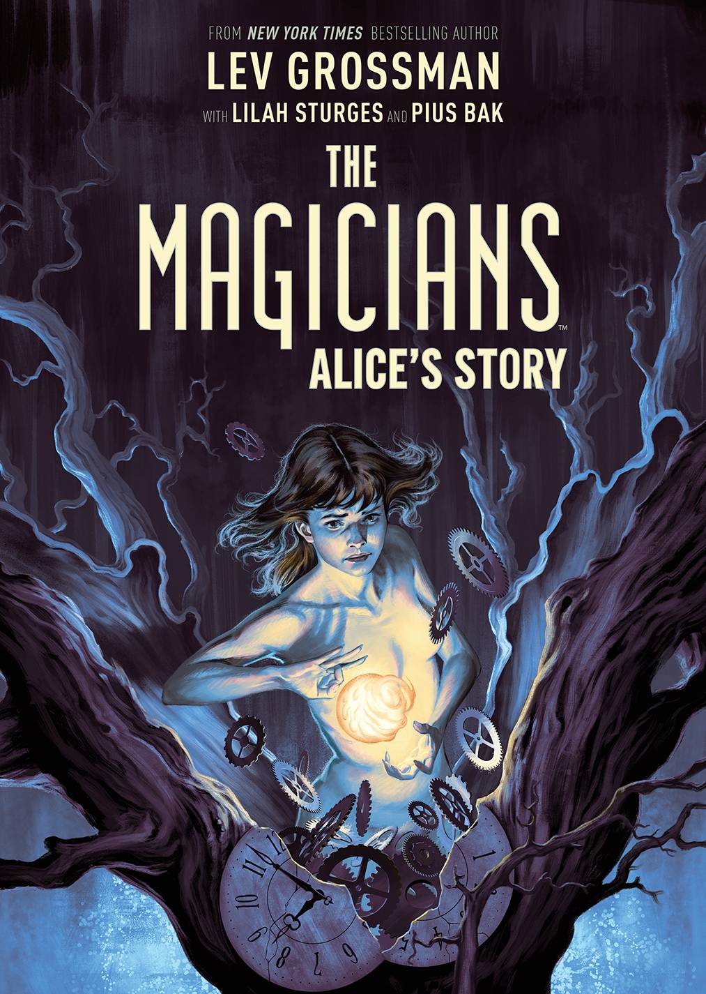 BOOM! STUDIOS Graphic Novel Magicians Alice Story Original GN 9781684156337 JUL200932