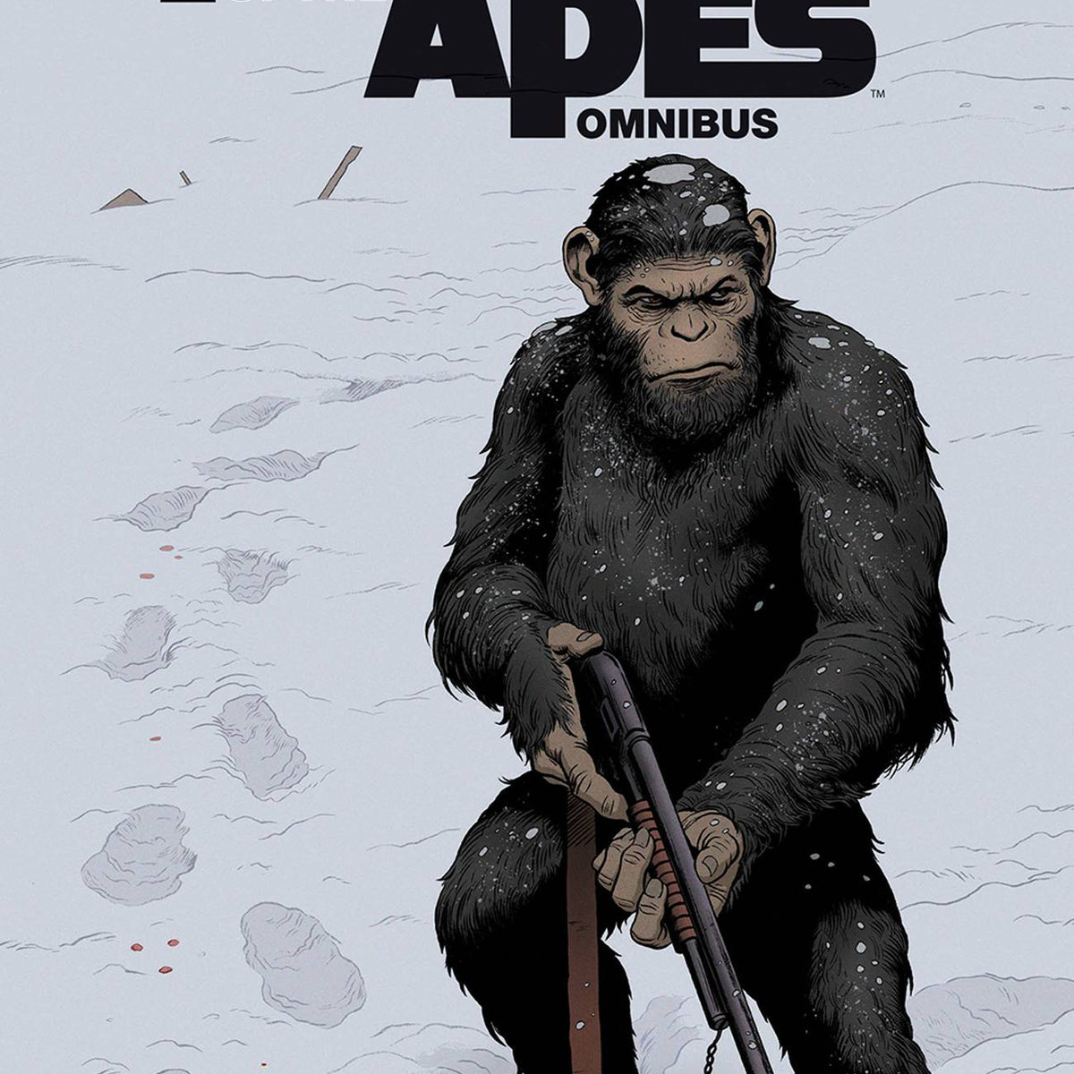boom-studios-graphic-novel-