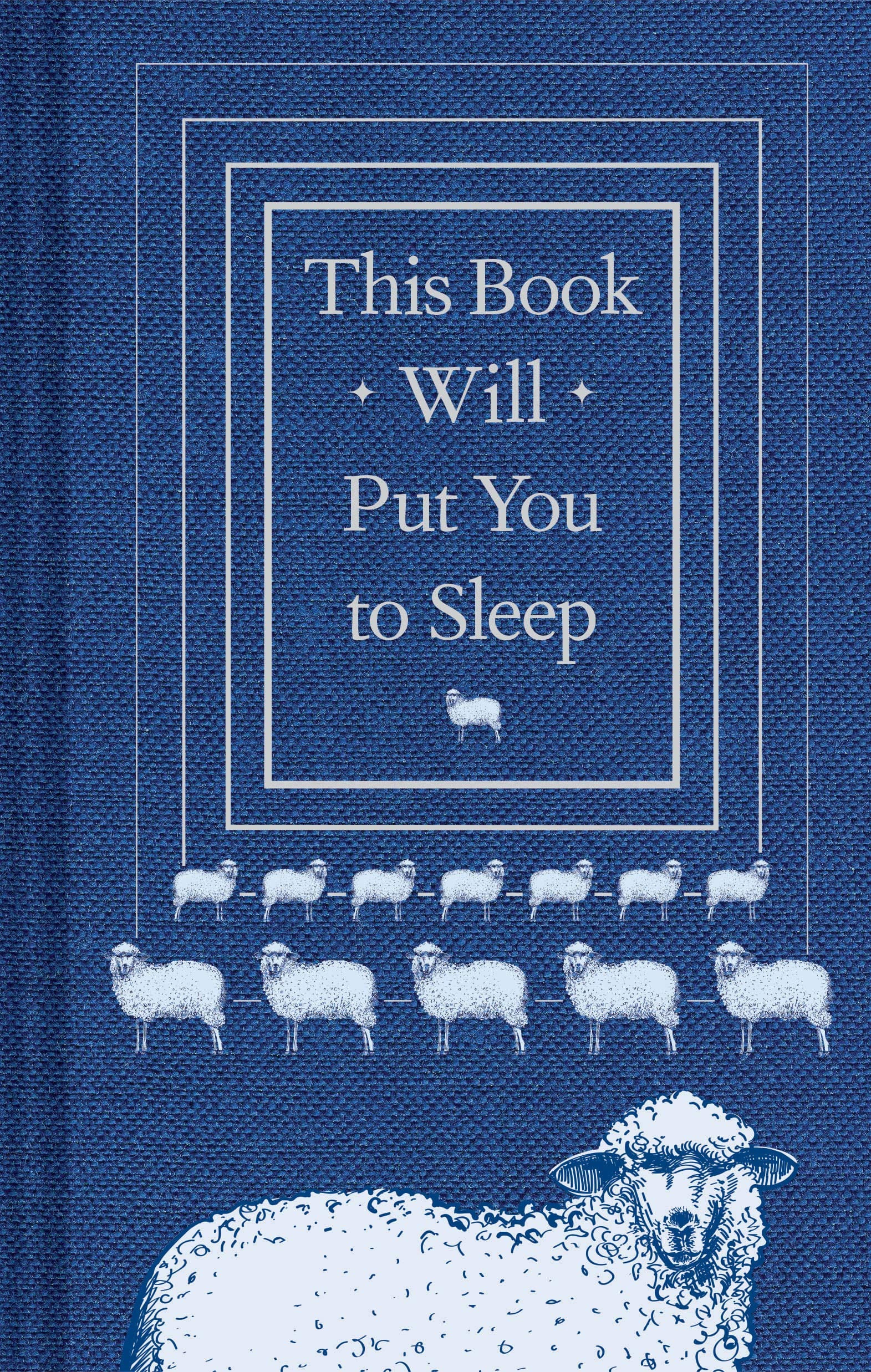 Chronicle Books Books This Book Will Put You to Sleep by Professor K. McCoy HC 9781452173610