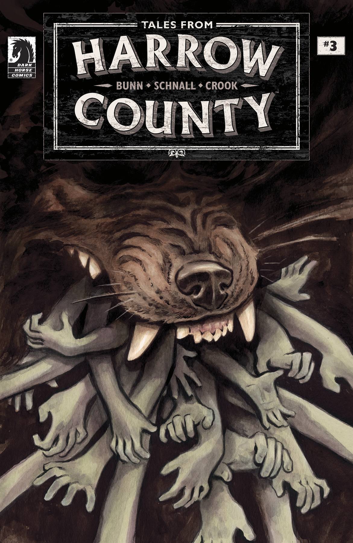 Dark Horse Comics Comic Books TALES FROM HARROW COUNTY LOST ONES #3 (OF 4) CVR A SCHNALL 76156800940800311 MAY220475