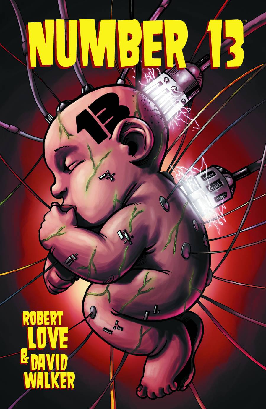 DARK HORSE PRH Graphic Novel Number 13 TP 9781616551575 FEB220399