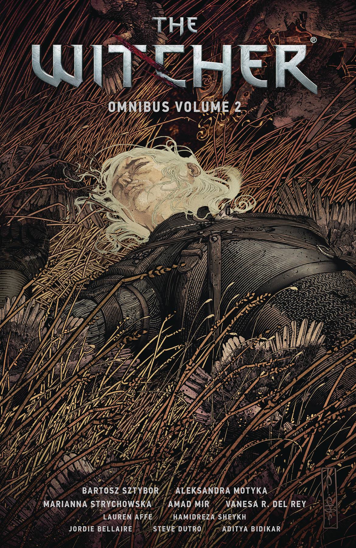 Witcher Omnibus TP Vol 02