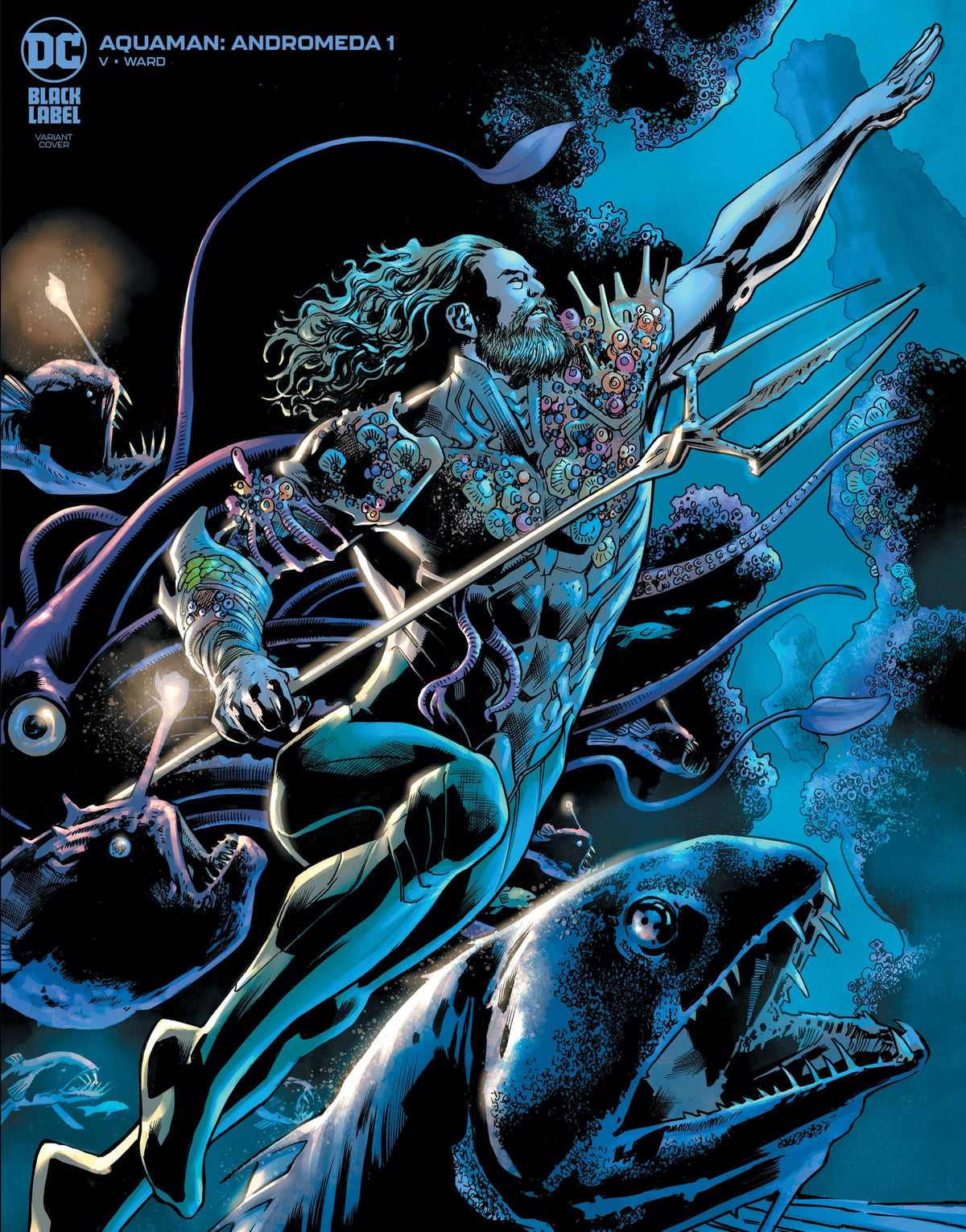 DC Comics Comic Books AQUAMAN ANDROMEDA #1 (OF 3) CVR B BRYAN HITCH VAR (MR) 76194137569400121 0322DC041