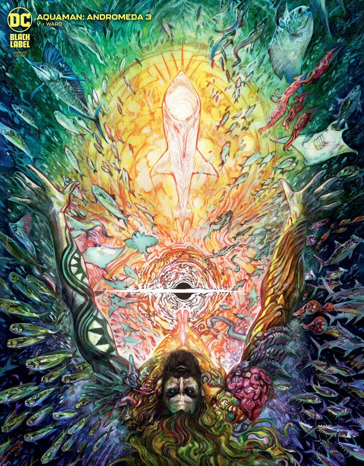 DC Comics Comic Books AQUAMAN ANDROMEDA #3 (OF 3) CVR B TIFFANY TURRILL VAR (MR) 76194137569400321 0722DC116