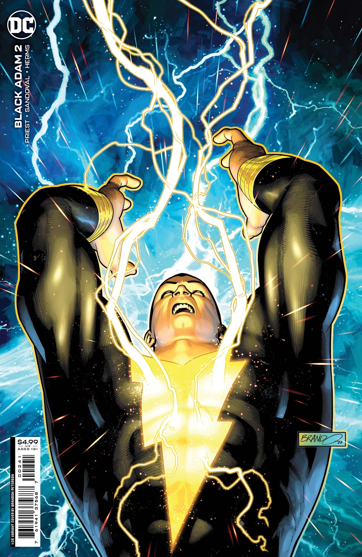 DC Comics Comic Books BLACK ADAM #2 CVR C BRANDON PETERSON CARD STOCK VAR 76194137568700251 0522DC100