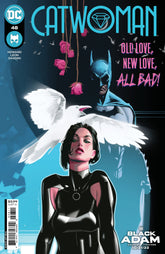 DC Comics Comic Books CATWOMAN #48 CVR A JEFF DEKAL 76194135682204811 0822DC139
