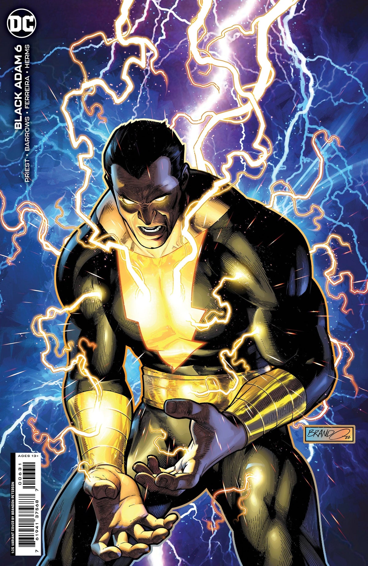 DC Comics Comic Books > Incentives BLACK ADAM #6 CVR E INC 1:25 BRANDON PETERSON CARD STOCK VAR 76194137568700631 0922DC177