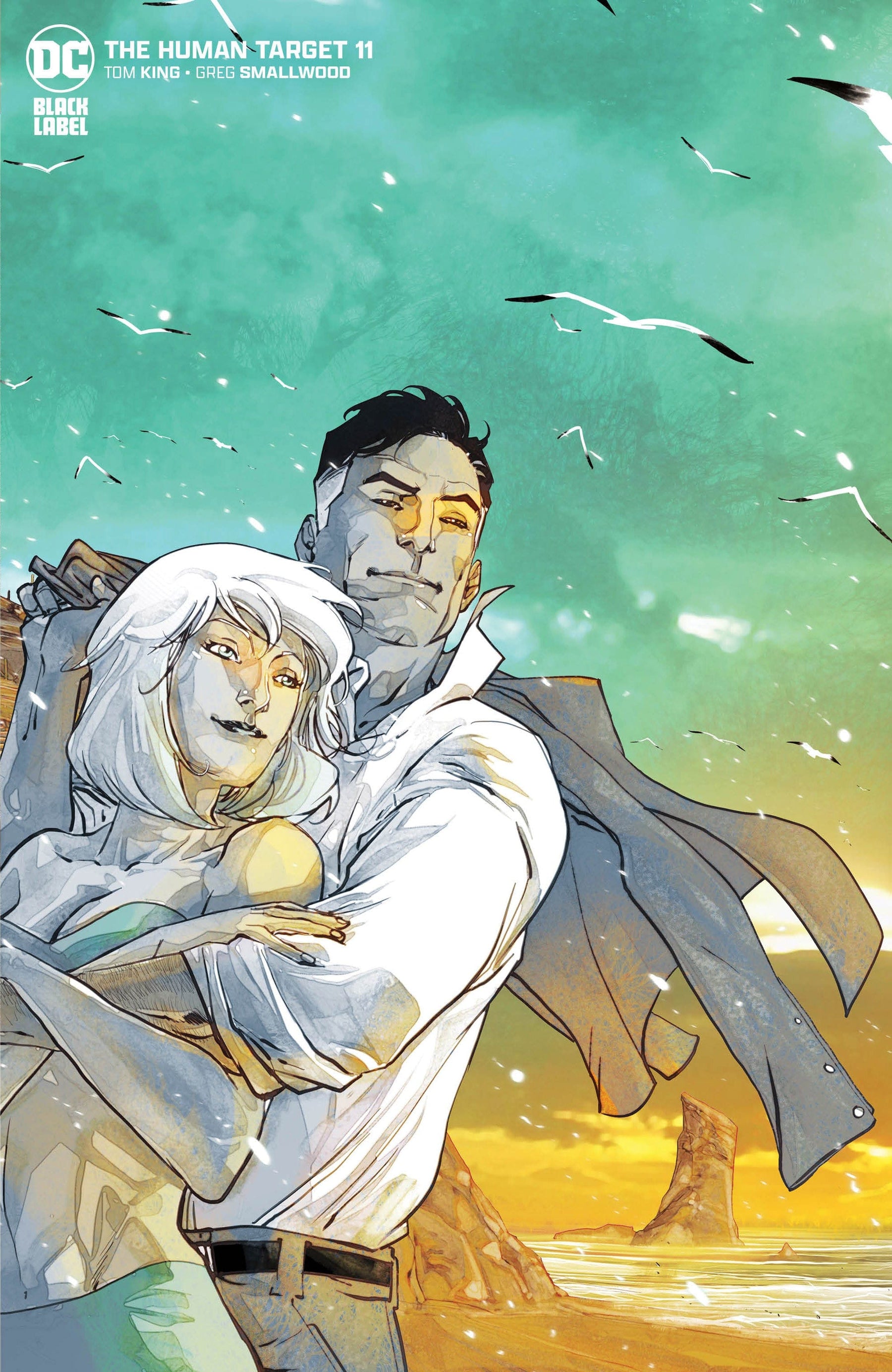 HUMAN TARGET #11 (OF 12) CVR C INC 1:25 CARMINE DI GIANDOMENICO VAR (MR)