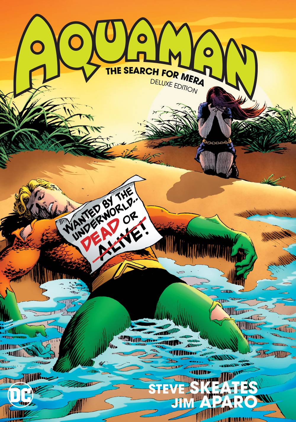 DC COMICS Graphic Novel Aquaman The Search For Mera Deluxe ED HC 9781401285227 AUG180586