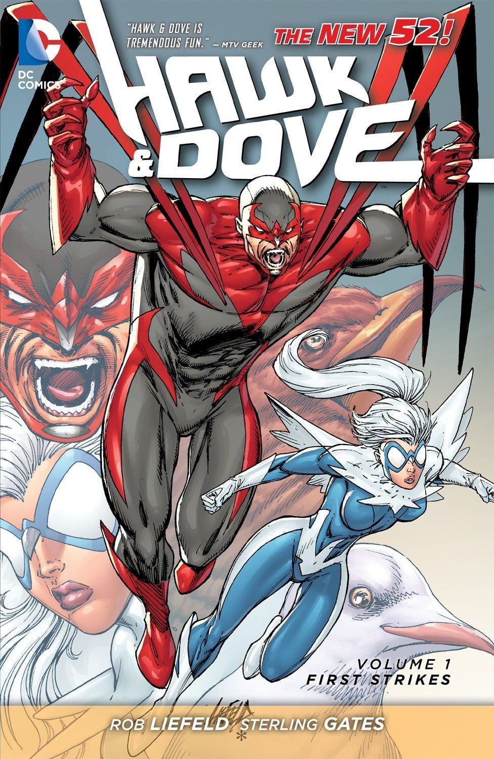 HAWK AND DOVE TP VOL 01 FIRST STRIKES