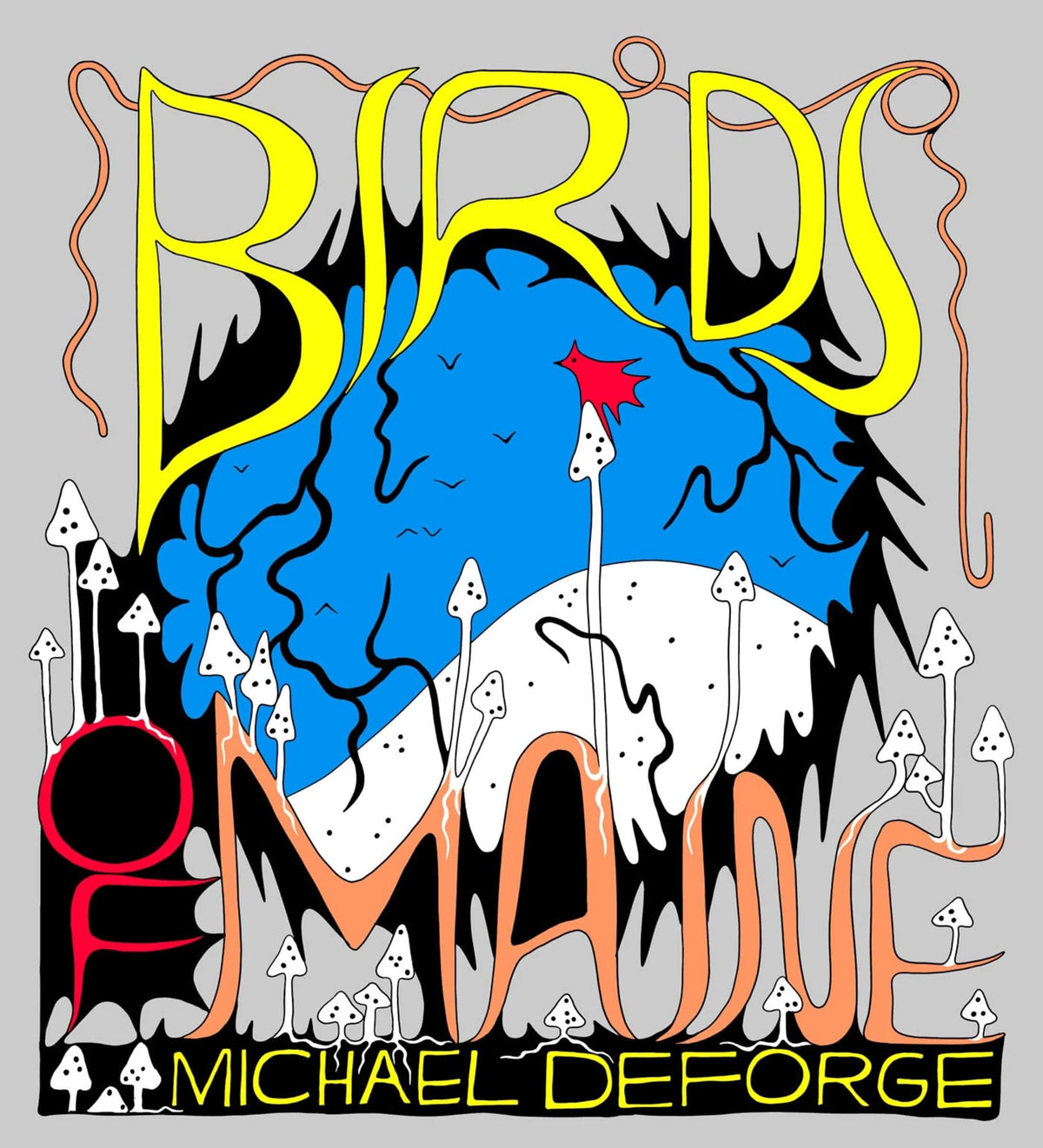 Birds of Maine HC - Third Eye