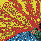 FANTAGRAPHICS BOOKS Graphic Novel Growing Up In Public GN 9781606999363 JUN161498