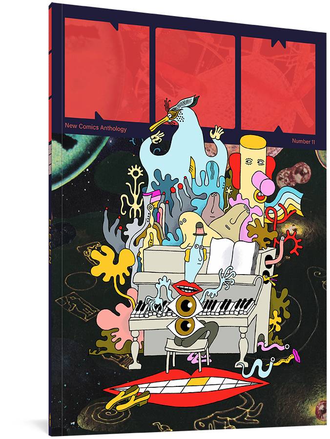 FANTAGRAPHICS BOOKS Graphic Novel Now #11 New Comics Anthology 9781683965206 JAN221425