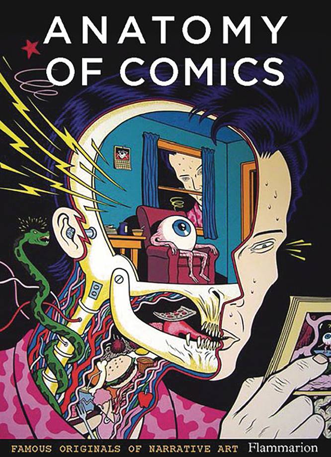Flammarion Books ANATOMY OF COMICS FAMOUS ORIGINALS OF NARRATIVE ART SC 9.78E+17 JUN221576