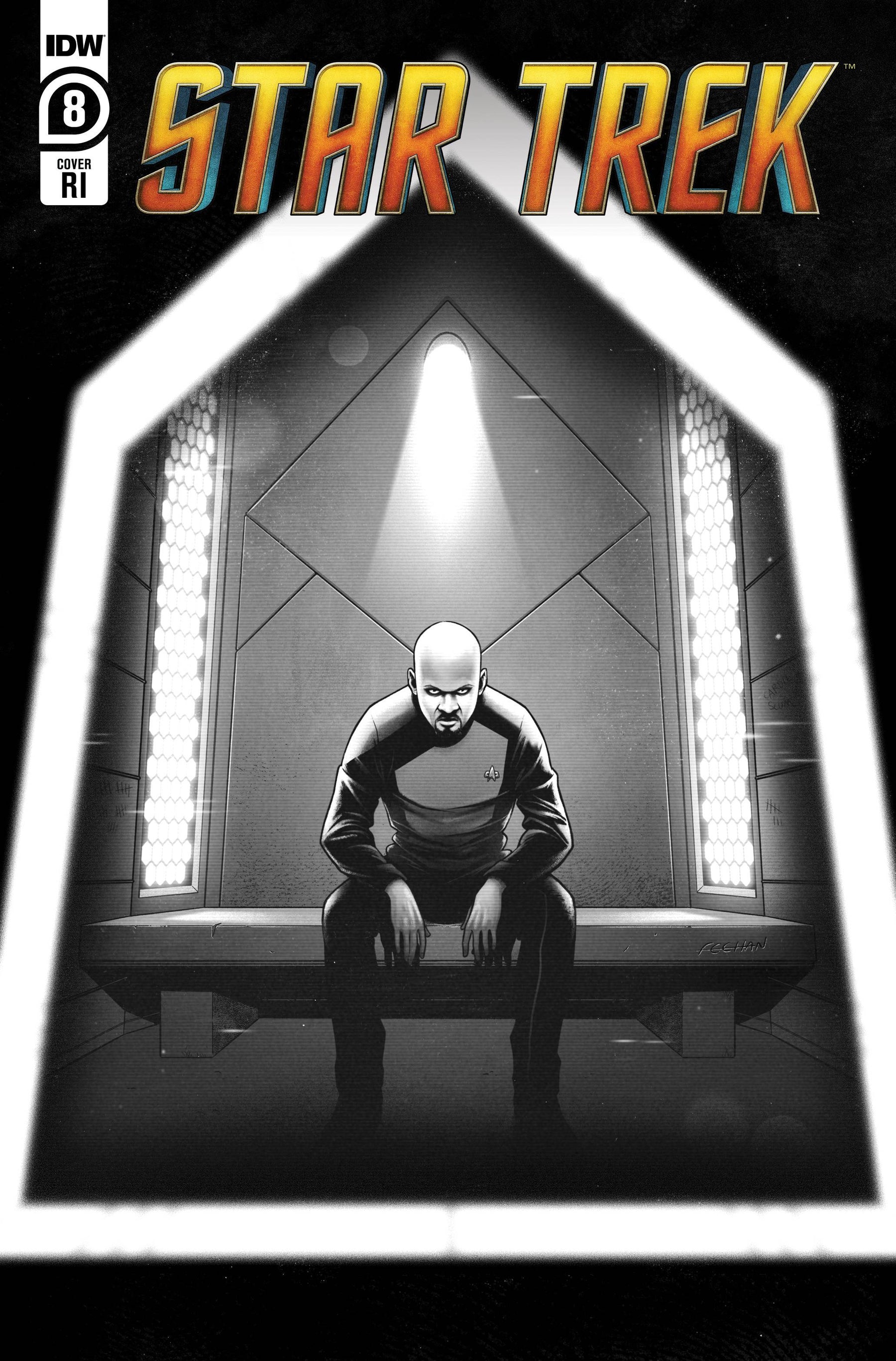 STAR TREK #8 CVR D 1:10 INCV FEEHAN