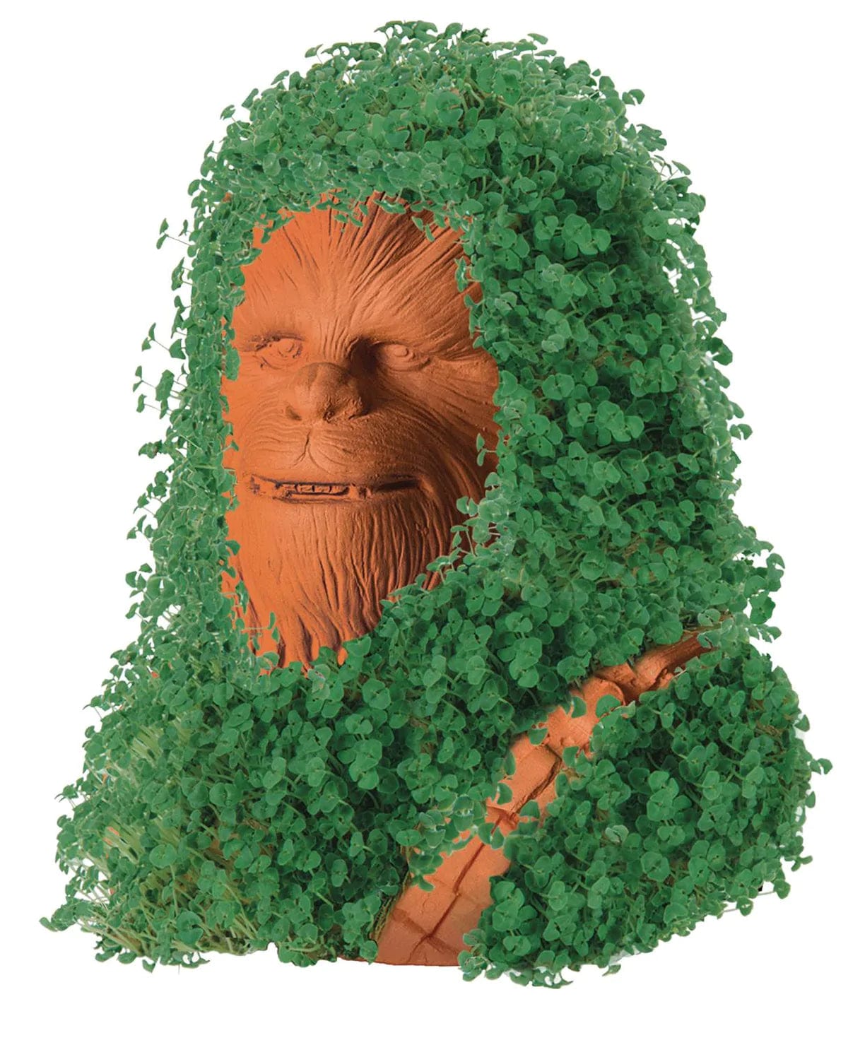 Joseph Enterprises Decor > Other Decor Chia Pet: Star Wars - Chewbacca 021363004450 JUN198794