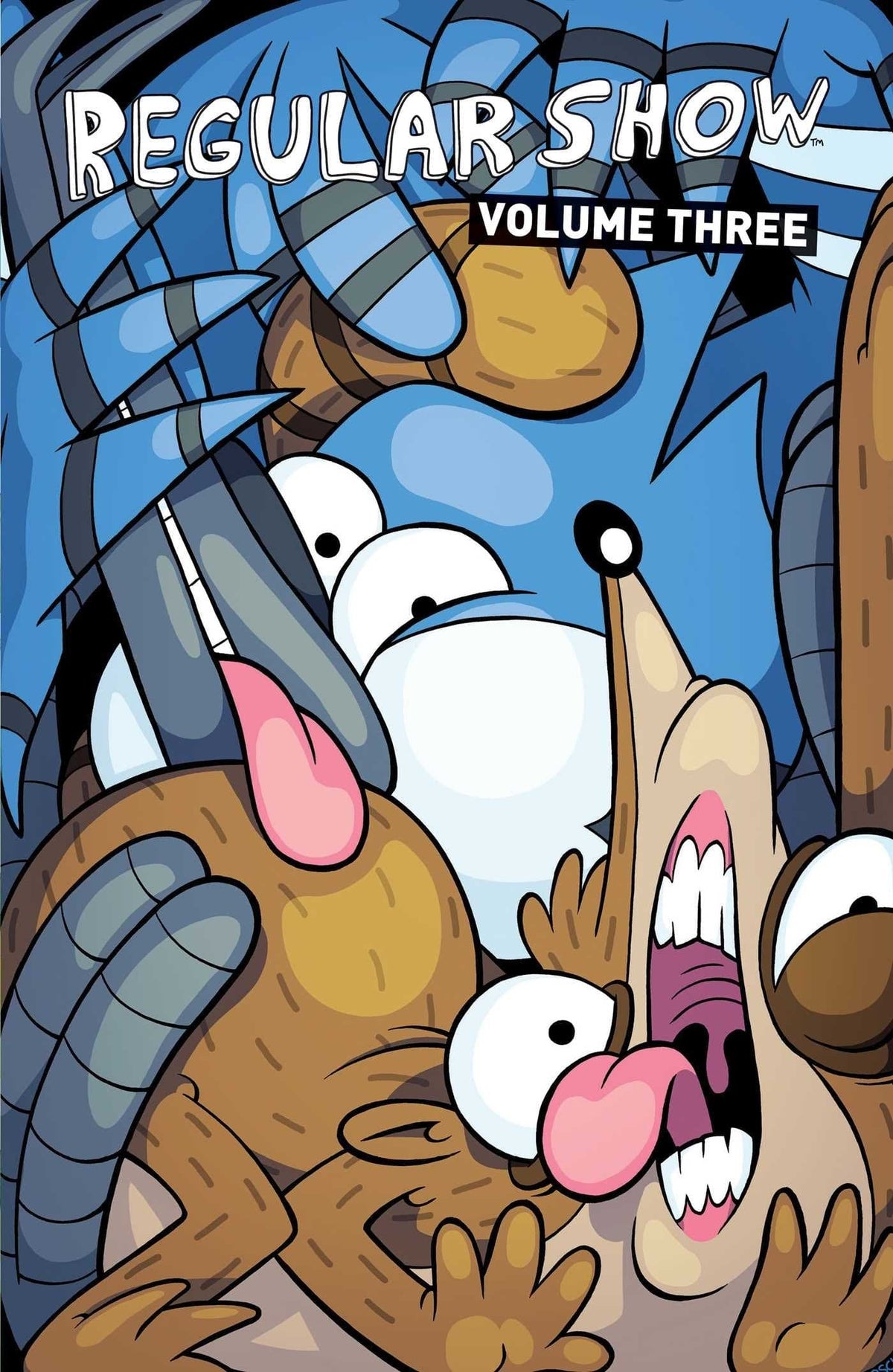 BOOM! STUDIOS Graphic Novel Regular Show TP Vol 03 9781608864850 JAN151174