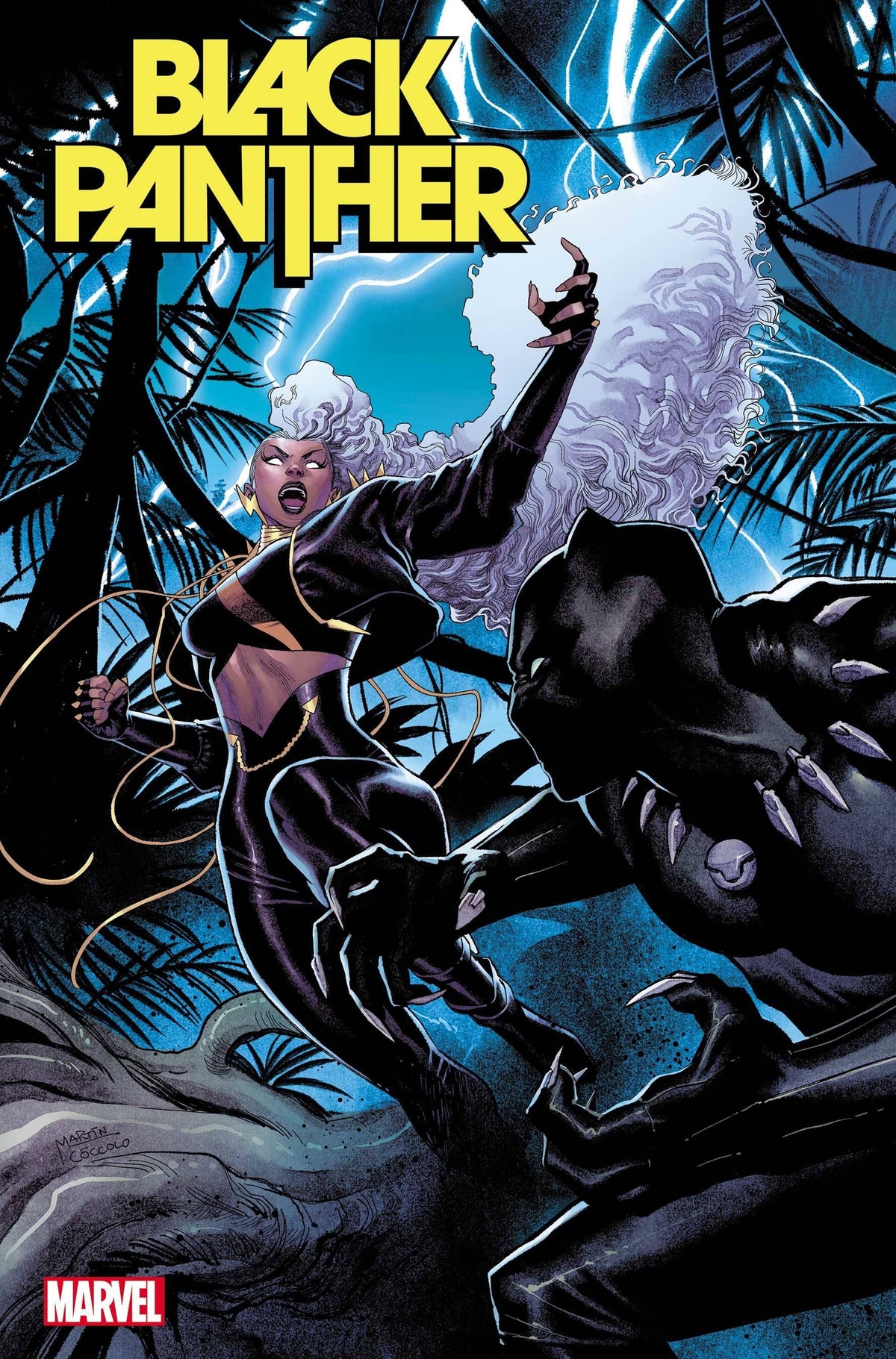 BLACK PANTHER #6 1:25 INCV COCCOLO VAR - Third Eye