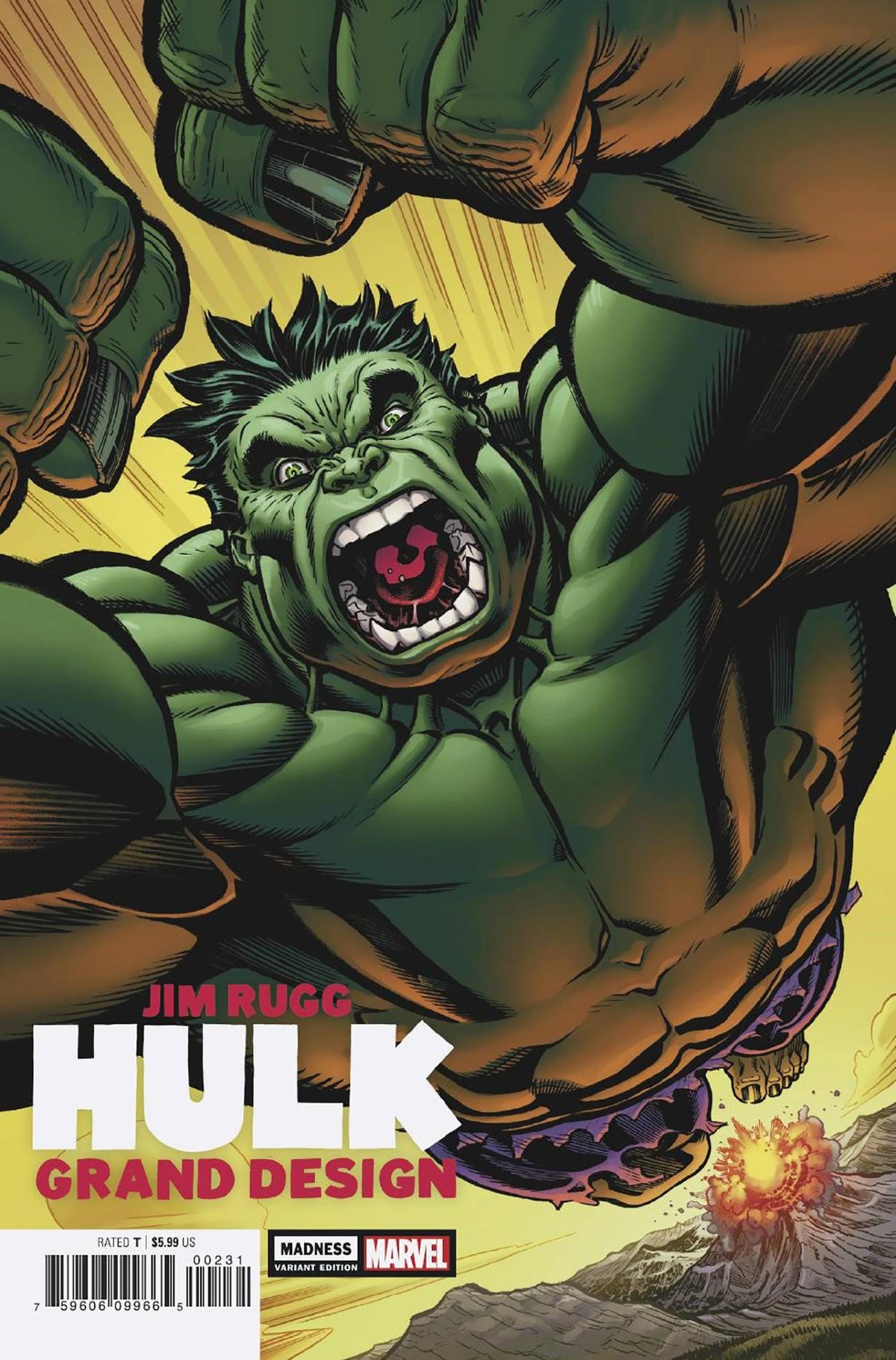 Hulk: Grand Design - Madness #1 McGuinness Variant - Third Eye