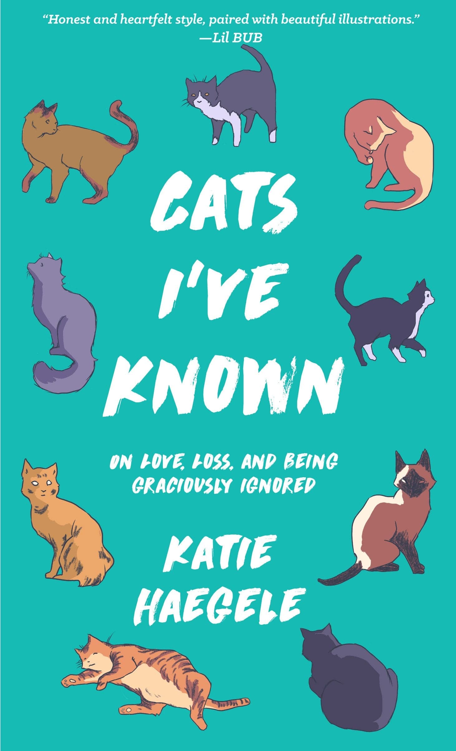 Cats I've Known: On Love Loss and Being Graciously Ignored - Third Eye