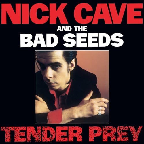 --- Music > Vinyl Records Cave, Nick & Bad Seeds - Tender Prey 881034112545 MUE14008.1