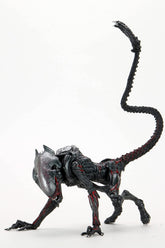 Neca Toys > Action Figures > Neca Neca: Aliens - Cougar Alien, Ultimate 7" (Kenner Tribute) 634482517161