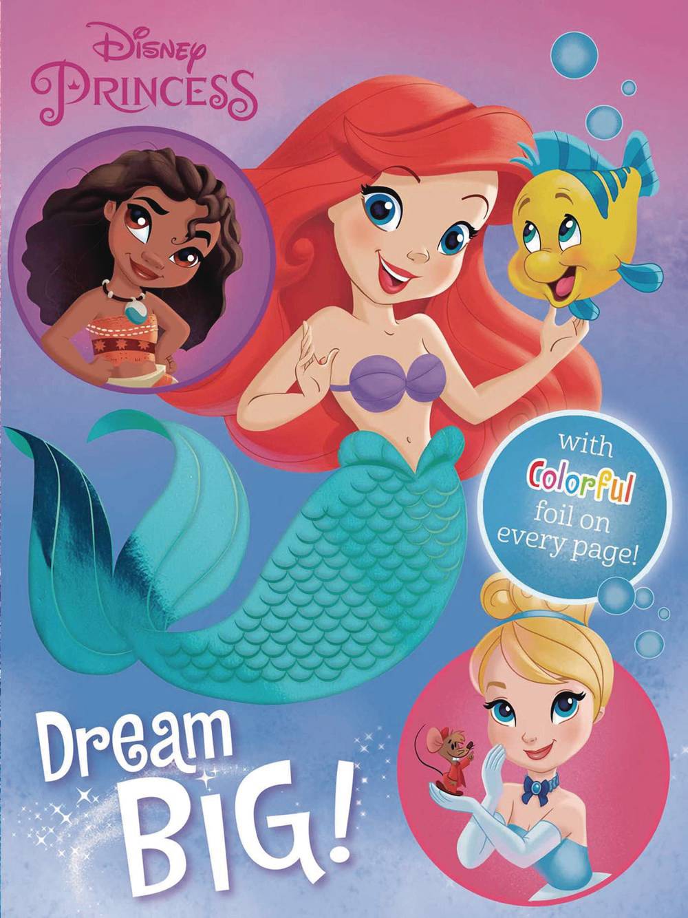 Printers Row Books DISNEY PRINCESS DREAM BIG BOARD BOOK 9780794445966 MAY221695