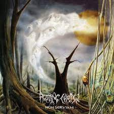 Rotting Chist Music > Vinyl Records Rotting Chist - Non Serviam 822603169119 SEM691.1