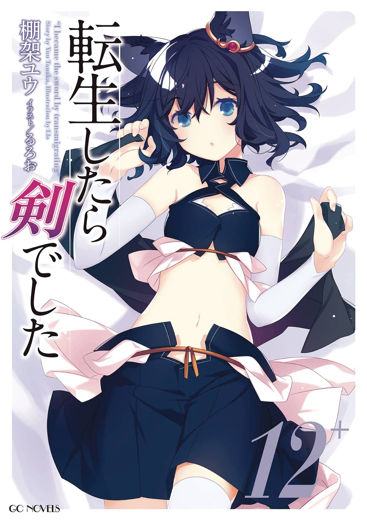 SEVEN SEAS ENT - AIRSHIP Manga Reincarnated As A Sword Light Novel SC Vol 12 9781638586494 NOV222249