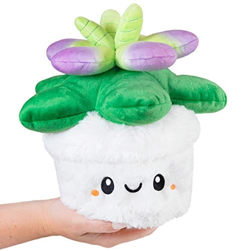 Squishable Toys > Plushies Squishable: Mini Succulent (7") 841024111569 SQU-111569