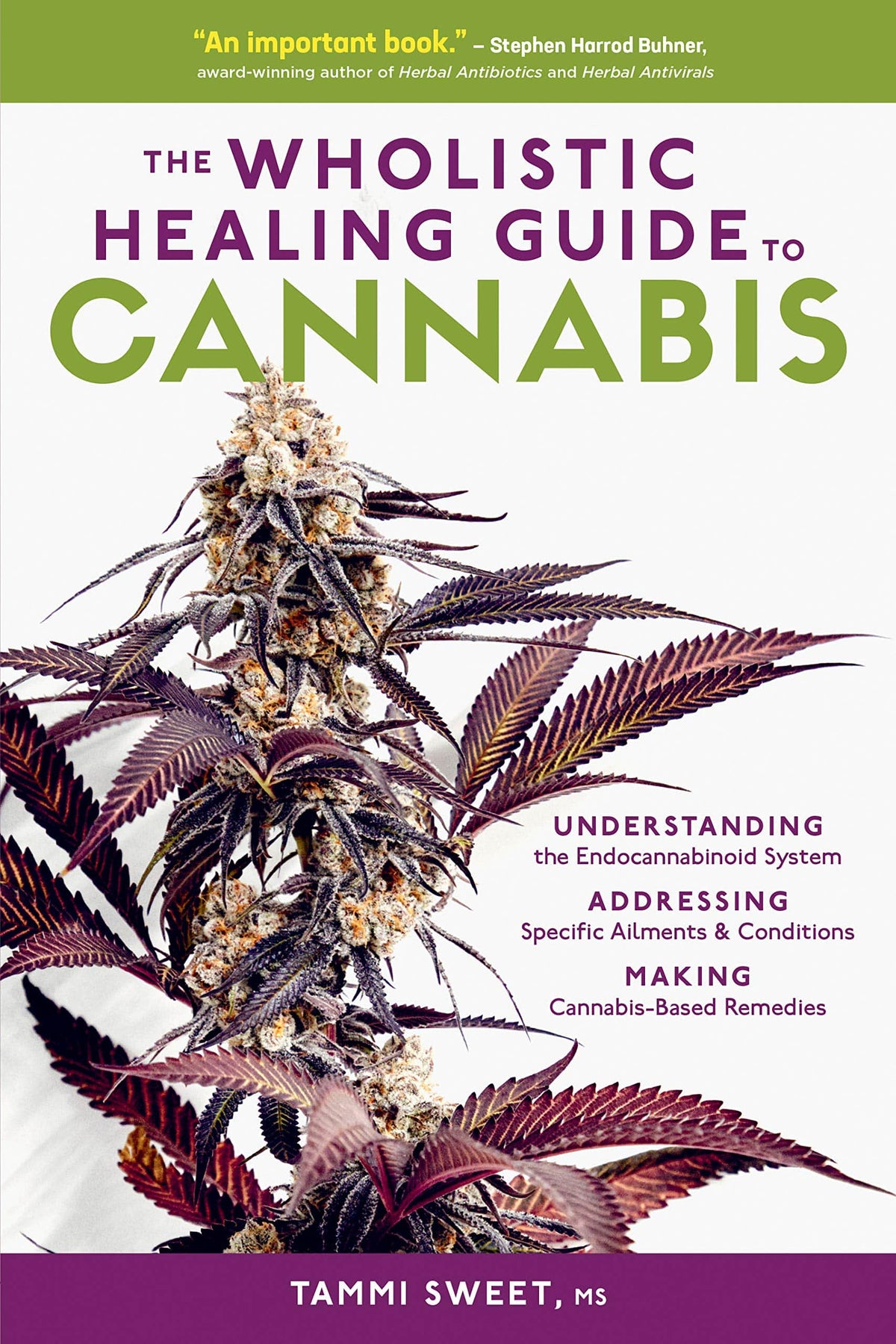 Storey Publishing Books Wholistic Healing Guide to Cannabis by Tammi Sweet 9781635861372