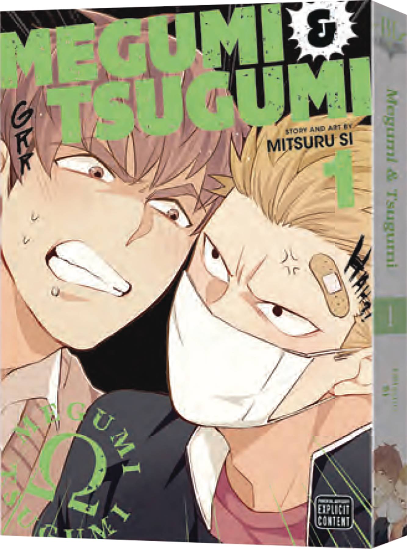 SUBLIME Graphic Novel Megumi & Tsugumi GN Vol 01 9781974734160 DEC221814