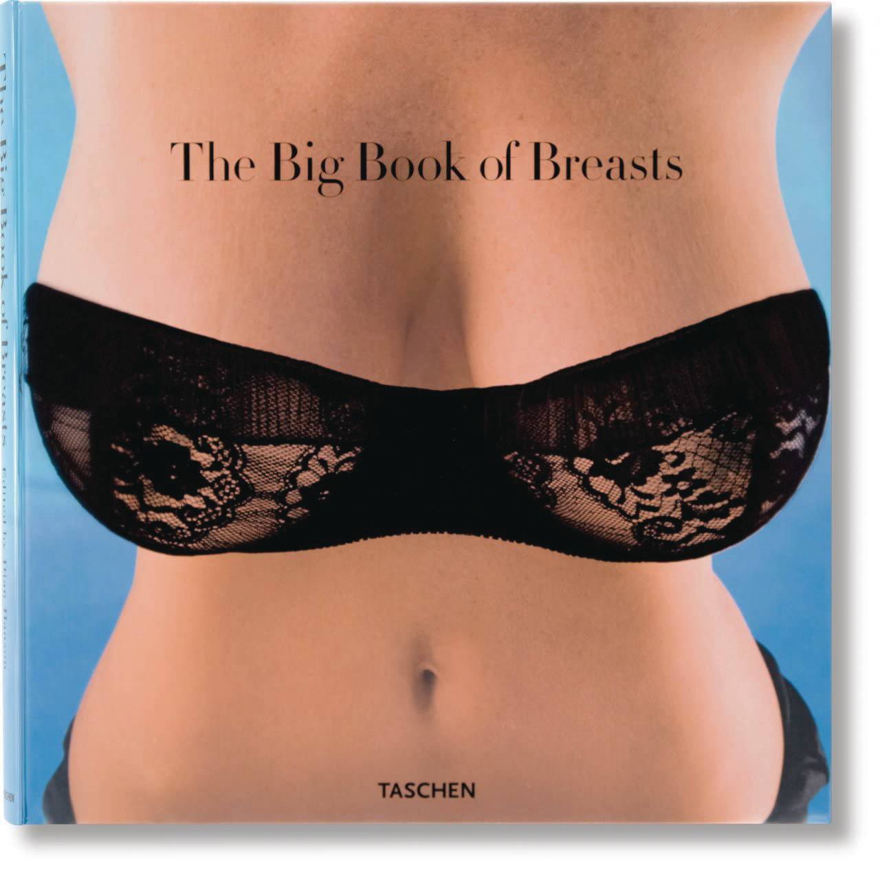 BIG BOOK OF BREASTS HC NEW PTG (MR) - Third Eye