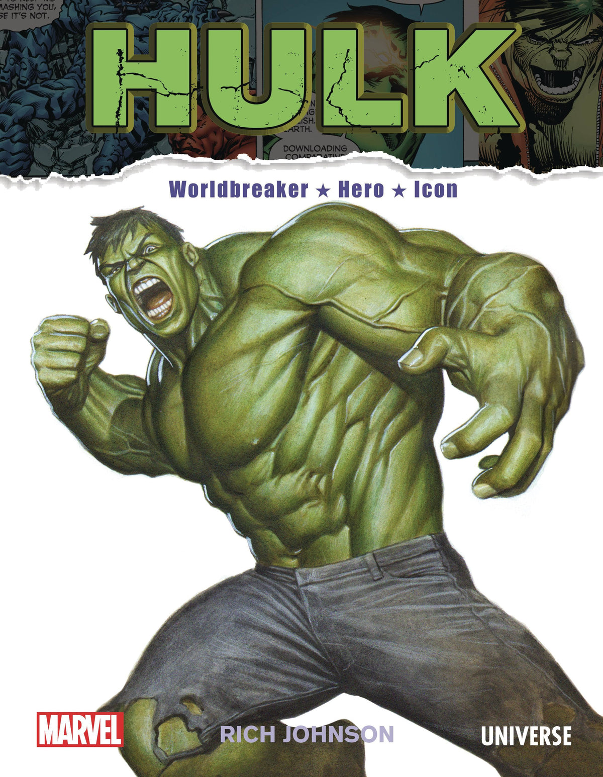 Universe Books INCREDIBLE HULK WORLDBREAKER HERO ICON HC 9.78E+17 FEB231781