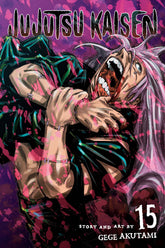 VIZ MEDIA LLC Manga Jujutsu Kaisen GN Vol 15 9781974727100 FEB221853