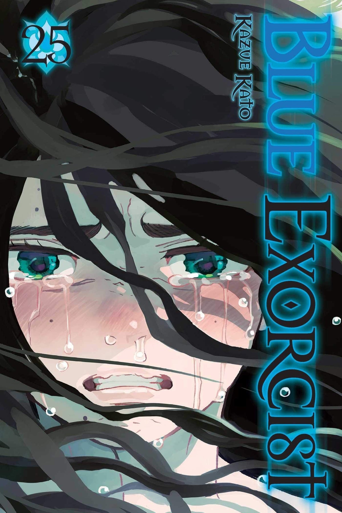 Blue Exorcist Vol. 25 - Third Eye