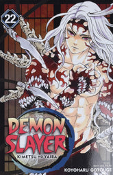 Demon Slayer: Kimetsu no Yaiba Vol. 22 - Third Eye