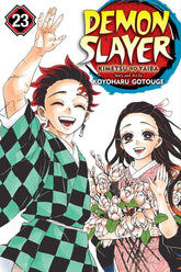 Demon Slayer: Kimetsu no Yaiba Vol. 23 - Third Eye
