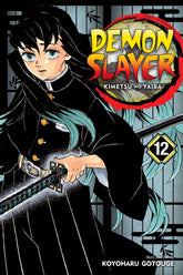 VIZ MEDIA LLC Manga Demon Slayer Kimetsu No Yaiba GN Vol 12 9781974711123 MAR202337