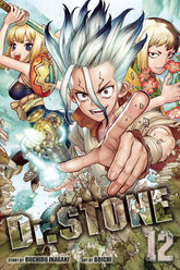 VIZ MEDIA LLC Manga Dr Stone GN Vol 12 9781974715299 STL150688