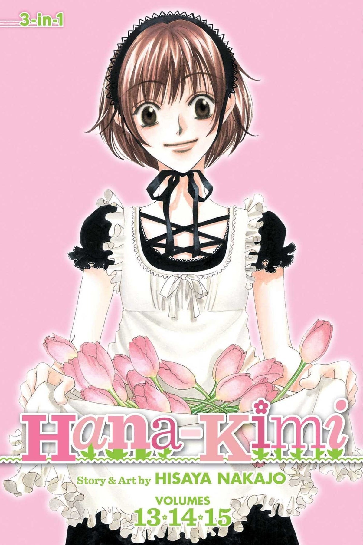 Hana-Kimi 3-in-1: Vol. 13/14/15 - Third Eye